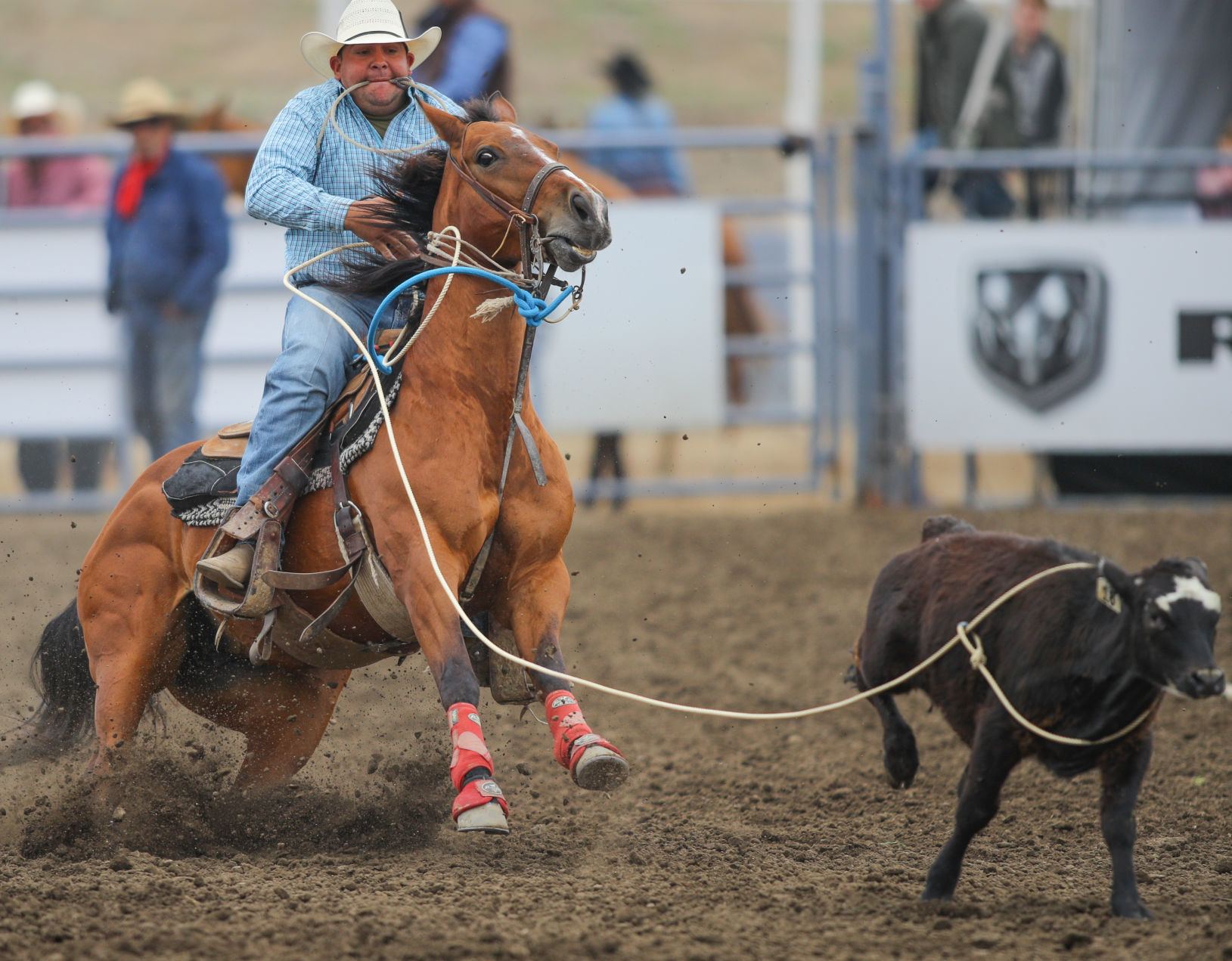 060219 Elks Rodeo Sunday 31.jpg